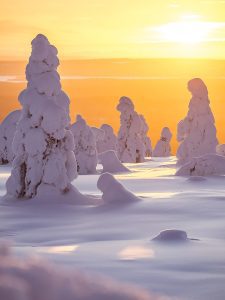 Winter activities dsc0336 (1)