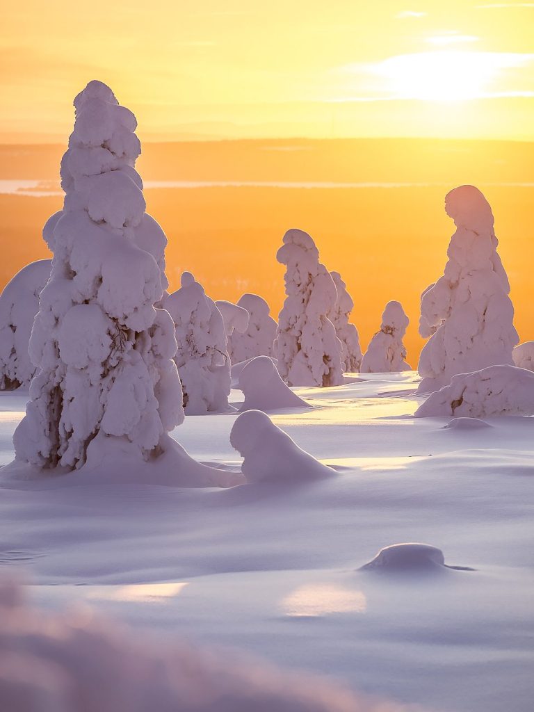 Kuusamo Winter Package 3 Days dsc0336 (1)