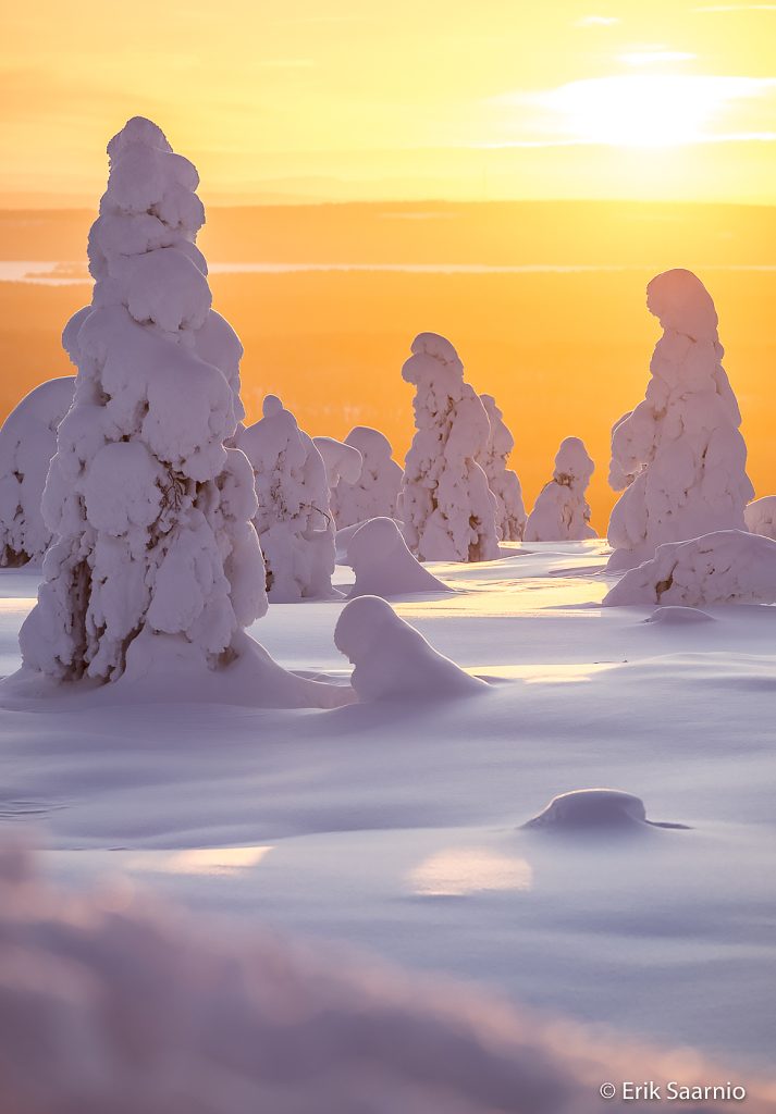 Riisitunturi - Day tour dsc0336