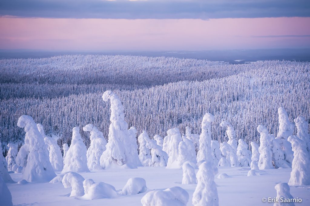 Riisitunturi - Day tour dsc0401