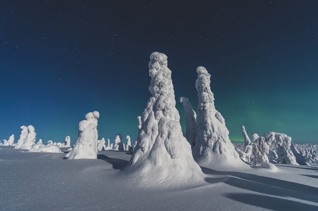 Riisitunturi - Day tour dsc8192