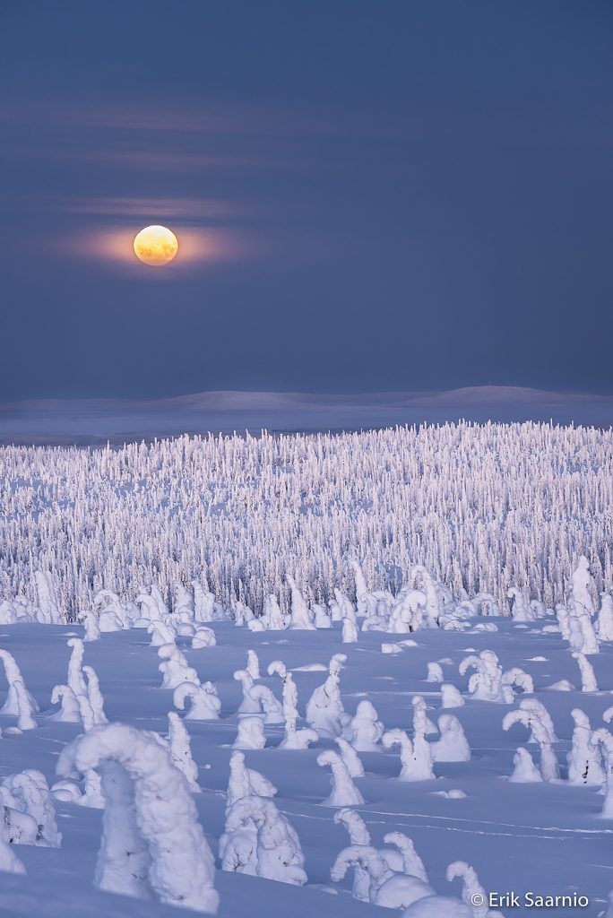 Riisitunturi - Day tour ems5414