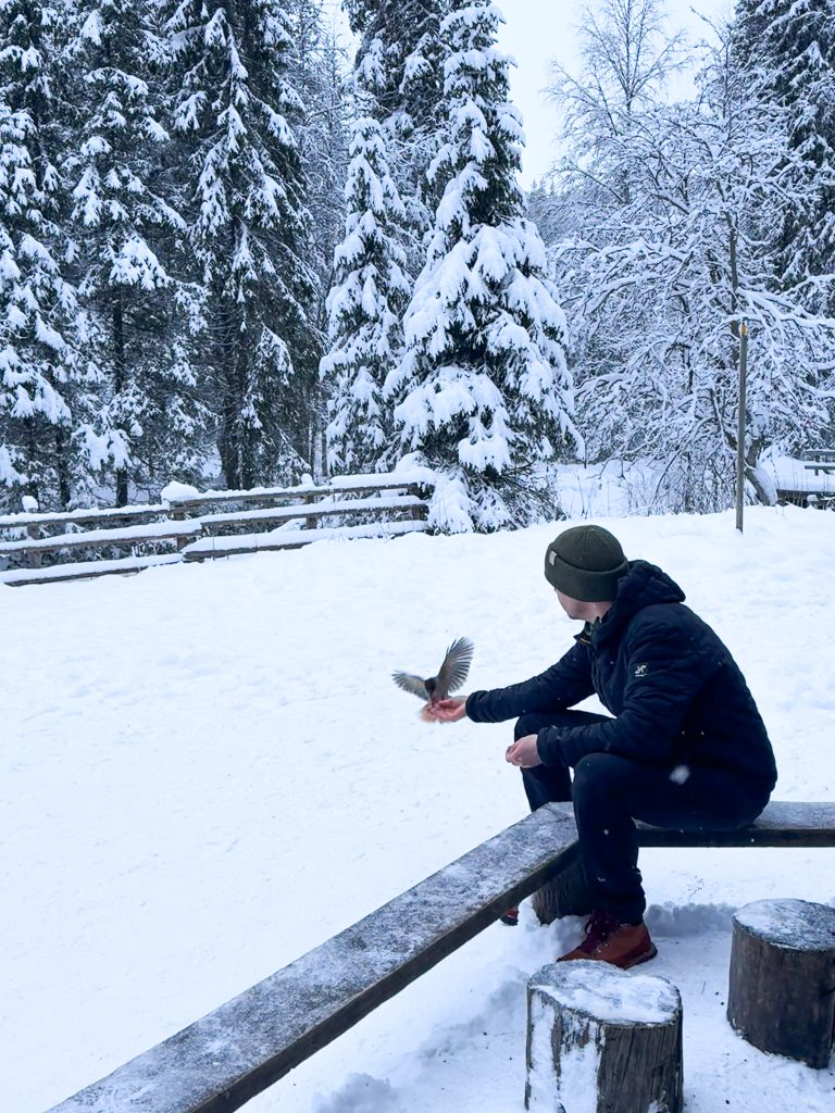 Korouoma - Day tour fullsizerender