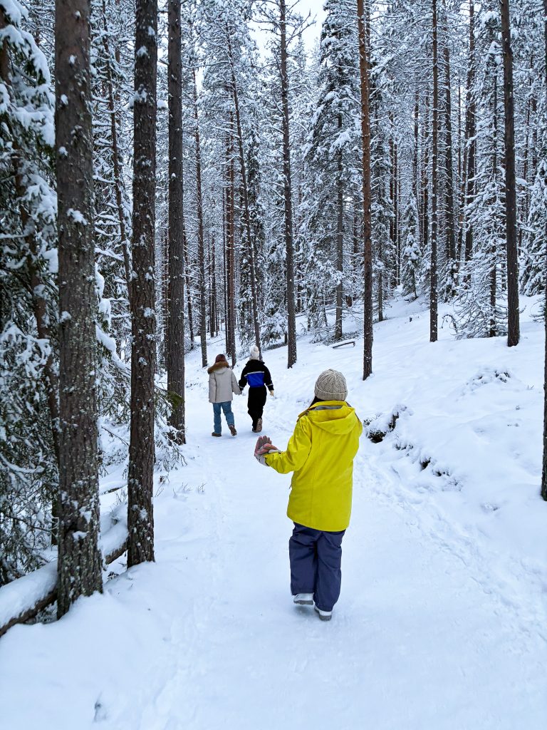 Korouoma - Day tour img 1193