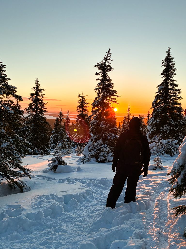 Riisitunturi - Day tour img 1323