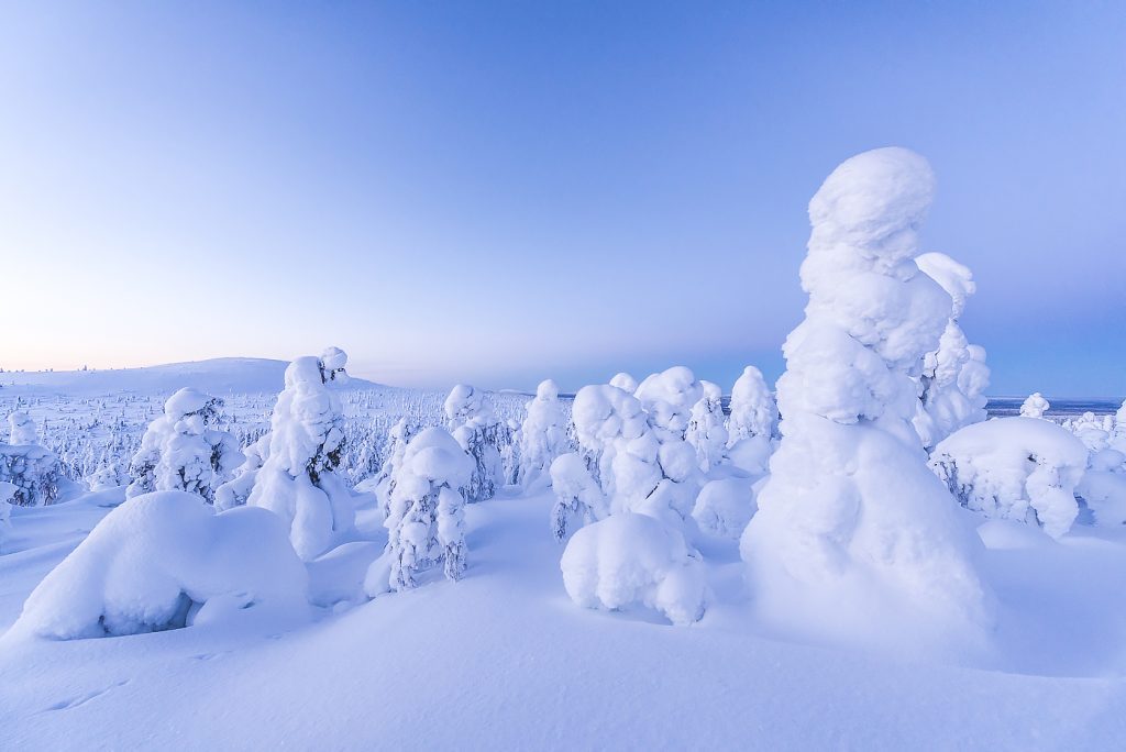 Riisitunturi - Day tour jks6360